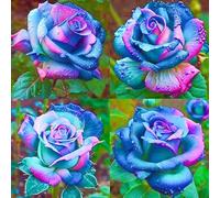 Rose rare Crescita Rapida Bellissimo Giardino Facile Da Mantenere-2bulbi-f