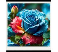 Rose rare Crescita Rapida Bellissimo Giardino Facile Da Mantenere-4bulbi-h