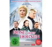 Rose unter Dornen