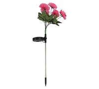 Rose Yards Rosa Solare LED Luce da Giardino Risparmio Energetico Giardini Riunio
