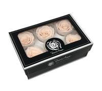 RoseAmor 6 ROSE Stabilizzate Classic Roses ROSA CIPRIA 4.5x6.5 cm 1G5D
