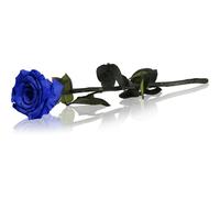 RoseAmor Blue rosa stabilizzata con gambo 1 pz
