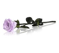 RoseAmor Lila rosa stabilizzata con gambo 30 cm 1 pz