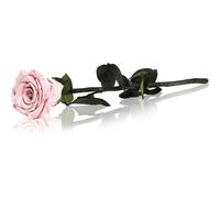 RoseAmor Pink rosa stabilizzata con gambo 30 cm 1 pz