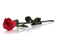 RoseAmor Red rosa stabilizzata con gambo 30 cm 1 pz