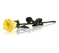 RoseAmor Yellow rosa stabilizzata con gambo 30 cm 1 pz