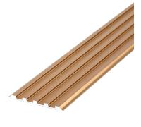 RoseAntiSlipNosing - Profilo di sicurezza in alluminio, 40 mm x 100 cm, protezione per bordi antiscivolo per rampe interne, striscia di protezione durevole