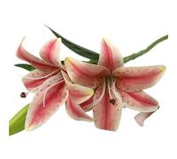 ROSEEONNE Giglio artificiale 3 teste Giglio finto Fiore artificiale Decorazioni for feste di nozze Bouquet Decorazioni for l'arte artigianale del giardino di casa(Dark pink)