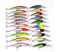 RoseFlower 20 Pezzi Galleggiante Set Esca da Pesca Ami Bassi Accessori con Spinnerbaits, Plastica Vers, Minnow, Rana Esca - Kit di Baits