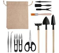 RoseFlower Kit Strumenti Giardinaggio Mini 12 Pezzi per Bonsai, Piante Grasse, Piante in Vaso, Include Attrezzi Forbici, Rastrellino, Pale, Pinzette