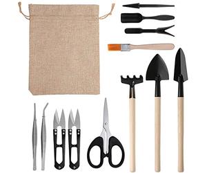 RoseFlower Kit Strumenti Giardinaggio Mini 12 Pezzi per Bonsai, Piante Grasse, Piante in Vaso, Include Attrezzi Forbici, Rastrellino, Pale, Pinzette