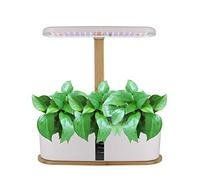 RoseFlower Smart Garden per la Crescita di 10 Piante, Mini Serra Idroponica per Casa, Idroponica Kit Completo con Luce LED per Coltivazione Indoor - Altezza Regolabile e Timer Automatico - Bianco
