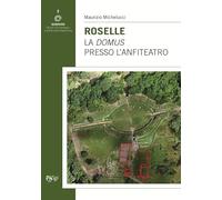 Roselle. La domus presso l'anfiteatro