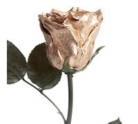 ROSEMARIE SCHULZ Heidelberg Rosa eterna oro con gambo - vera rosa conservata 30-35cm durata 3 anni scatola fiori - rosa durevole 50° anniversario nozze d'oro regali (Oro)