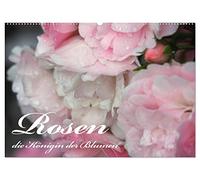 Rosen, die Königin der Blumen (Wandkalender 2026 DIN A2 quer), CALVENDO Monatskalender: Eine Hommage auf die Rose. Sagen Sie es durch die Blume und ... liebe dich", als mit der einzigarten Rosen.