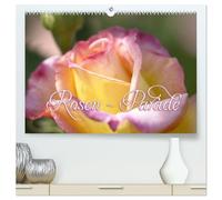 Rosen - Parade (hochwertiger Premium Wandkalender 2026 DIN A2 quer), Kunstdruck in Hochglanz: Die Rose - Königin der Gärten - elegant und schön, wunderbar duftend, bezaubernd anzusehen.
