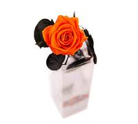 Rosen-Te-Amo | Regalo Festa della Mamma| Rosa Stabilizzata profumata Rose Eterne con stelo e biglietto auguri | Rosa Vera Orange | idea Regalo San Valentino, Natale, Compleanno Donna | Regalo mamma