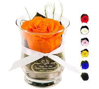 Rosen-Te-Amo Rosa eterna in un bicchiere, profumata, fatta a mano, arancione | Vera rosa eterna in confezione regalo | Regalo per donna, mamma | Rosa conservata per Natale, la