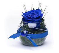 Rosen-Te-Amo - Rosa infinity conservata Blu, profumata, realizzata a mano, regalo per lei per San Valentino, in vaso di vetro con vero fogliame, confezione regalo, decorazione e regalo per donne