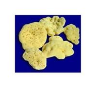 ROSENFELD Srl ROSENFELD SPUG FINE BAGNO 10CM