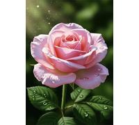 Roses 120 Piece Jigsaw Puzzles for Adults, Colourful, Challenging & Brainteasing Adult puzzles 120 Pieces Summer Flowers, Fun jigsaws for The Whole Family 10x8 inch