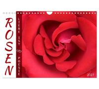 Roses, l'amour est (Calendrier mural 2027 DIN A4 vertical), CALVENDO calendrier