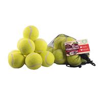 Rosewood 12 palline da tennis standard, giocattoli per cani