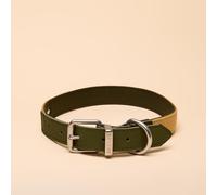 Rosewood Collare per cani Joules Kaki, grande, in pelle resistente e dettagli in tessuto, design elegante con fibbia in metallo spazzolato, accessorio per animali domestici di alta qualità