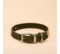 Rosewood Collare per cani Joules, taglia M, in pelle resistente e dettagli in tessuto, design elegante con fibbia in metallo spazzolato, accessorio per animali domestici di alta qualità