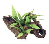 ROSEWOOD Palissandro Mopani legno con piante decorazione per acquario, piccolo