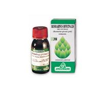 Rosmarino 1 DH Gemme 50ml
