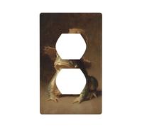 Rospo verde che indossa un cappello da strega copertura per interruttore della luce decorativa 1 banda piastra da parete per cucina stanza bagno dimensioni 7 x 11,4 cm