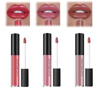Rossetto Matte Liquido Tinta Labbra a Lunga Tenuta, 3 PCS lucidalabbra Set, Rossetto Lunga Durata Impermeabile Regalo per Cosmetici, Vegano Rossetto Vellutato