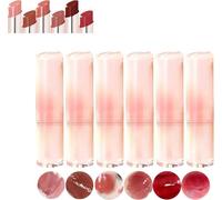 Rossetto succoso, balsamo per labbra a lunga durata e macchia per labbra, olio idratante per labbra, balsamo per labbra che cambia colore, gelatina rimpolpante per labbra, finitura a specchio (misto 6