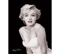 Rosso Labbra Marilyn Monroe Mini Poster 40x50 CM 40.6x50.8cm Nuovo Adulti Camera