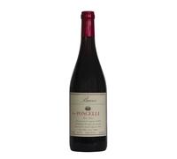 Rosso Piceno 'Pongelli' Villa Bucci 2021