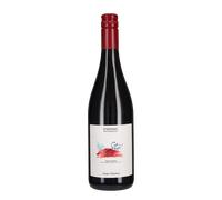 Rosso Piceno 'Stè' Santa Barbara 2024 (tappo stelvin)