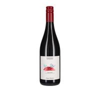 Rosso Piceno 'Stè' Santa Barbara 2025 (tappo stelvin)