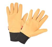 Rostaing Vigna/it07 Guanti Speciale T Freddo Fodera Acrilico/Cotone, Beige, 33 x 12 x 4.5 cm