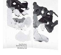 Rostami Aria & Blomquist Daniel - Wandering Eye