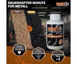 Rostio Rostumwandler, convertitore di ruggine con pennello 250 ml [etichetta in lingua tedesca]