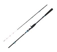 Rosvola Carbon Casting Rod, Lightweight Anti-Entanglement Design (1.65M)