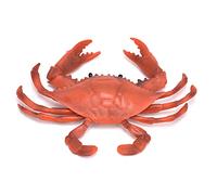 Rosvola Giocattolo Modello Realistico di Granchio per L'educazione dei Bambini e Gli Amanti del Mare, Plastica Resistente, 17,5 X 2,3 Cm - 1 unità (PL127-777 Granchio Rosso (0,072 kg))