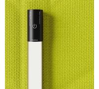 Rotaliana Eden Alocasia LED da terra, verde chiaro 1EDF3 001 20 EL0