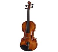 Roth & Junius Bird`s Eye Maple Violin Gu/E
