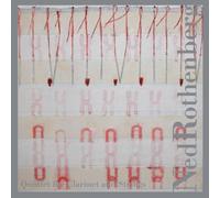 Ned Rothenberg Rothenberg: Quintet For Clarinet And Strings (CD)