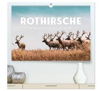 Rothirsche - Die imposanten Könige der Wälder. (hochwertiger Premium Wandkalender 2026 DIN A2 quer), Kunstdruck in Hochglanz: Majestätische Geweihe.