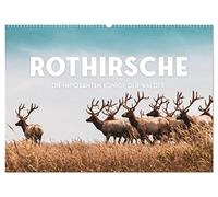 Rothirsche - Die imposanten Könige der Wälder. (Wandkalender 2026 DIN A2 quer), CALVENDO Monatskalender: Majestätische Geweihe.