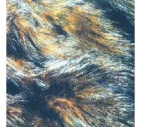 Rothko - Forty Years to Find a Voice