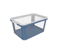 Rotho Albris - Scatola portaoggetti 45 l con coperchio, in plastica (PP riciclato), 45 l (57,0 x 39,2 x 27,0 cm)